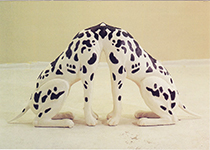 Le Chien rorschachien