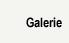 Galerie